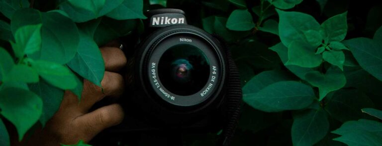 Lagos's Photography Day